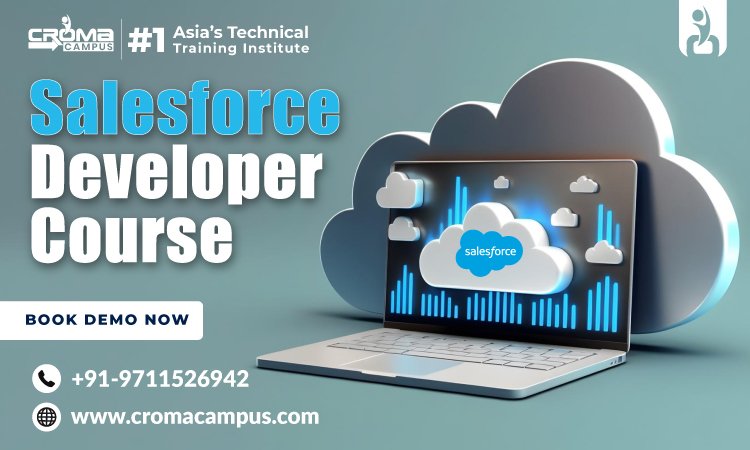 Salesforce Developer Course