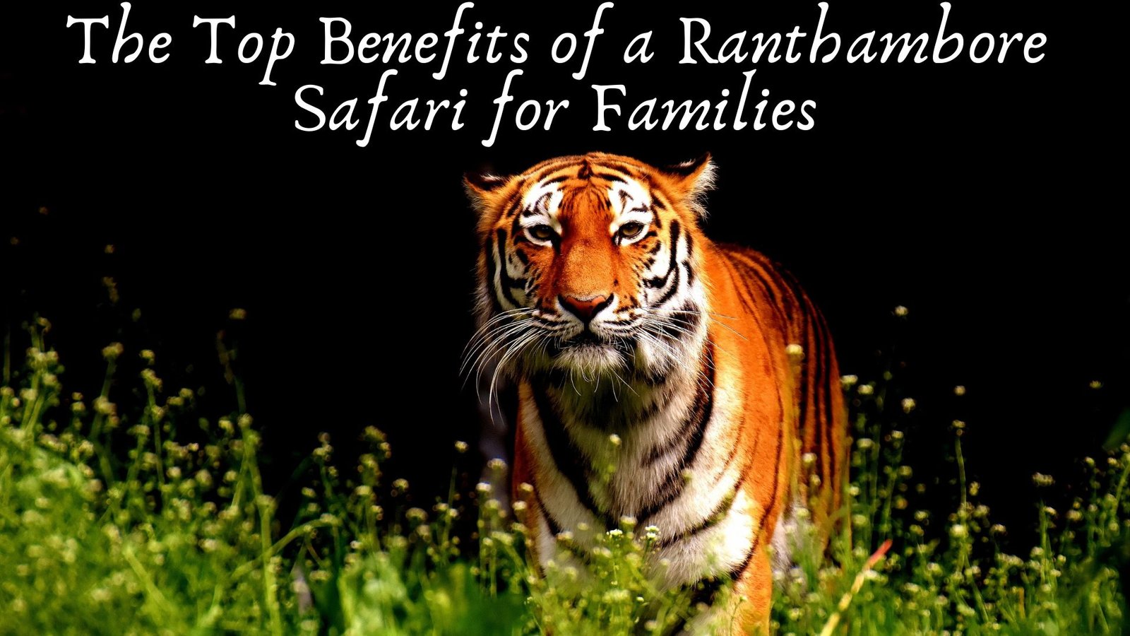 The Top Benefits of a Ranthambore Safari for Families